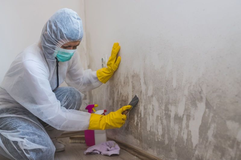 Signs and Symptoms of Mold Damage in Your House