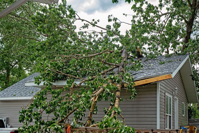How to Handle Storm Damage: Tips for Effective Restoration