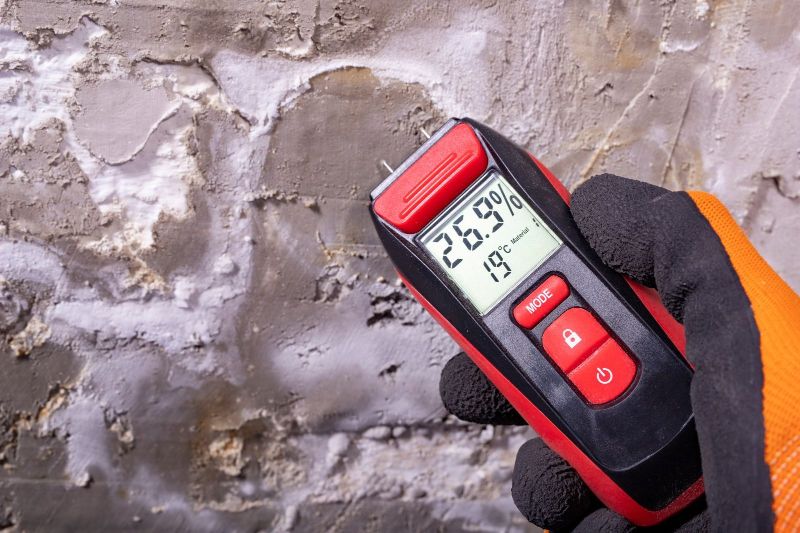 The Importance of Mold Testing and Remediation in Disaster Restoration