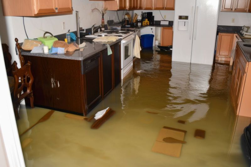 The Importance of Prompt Water Damage Restoration