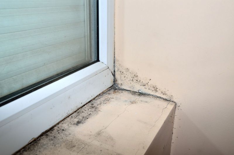 Mold Remediation Experts: Breathing New Life into Your Home