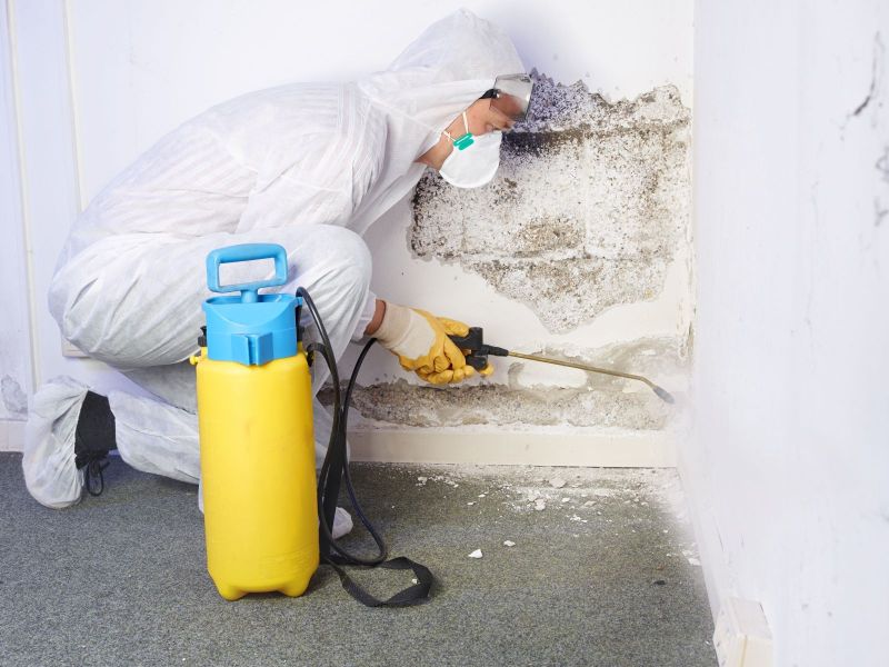 Mold Testing & Remediation: The Importance of Maintaining a Healthy Living Environment