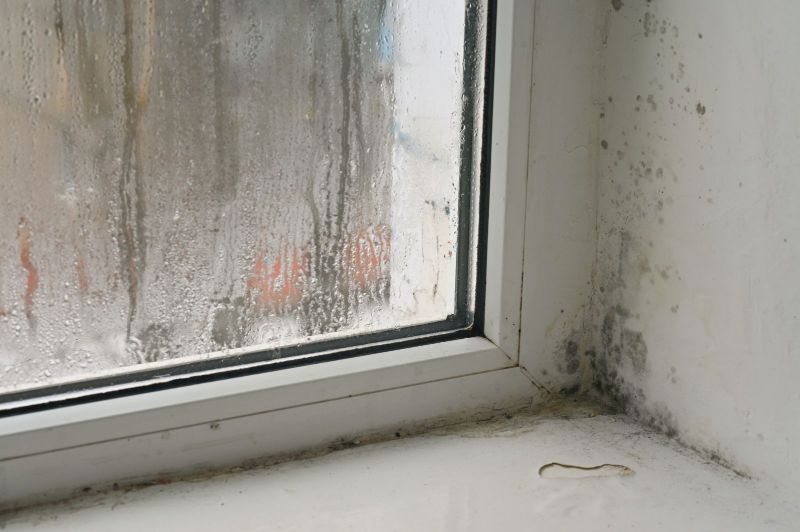 Mold Remediation: The Importance of Restoring the Safety of Your Property.
