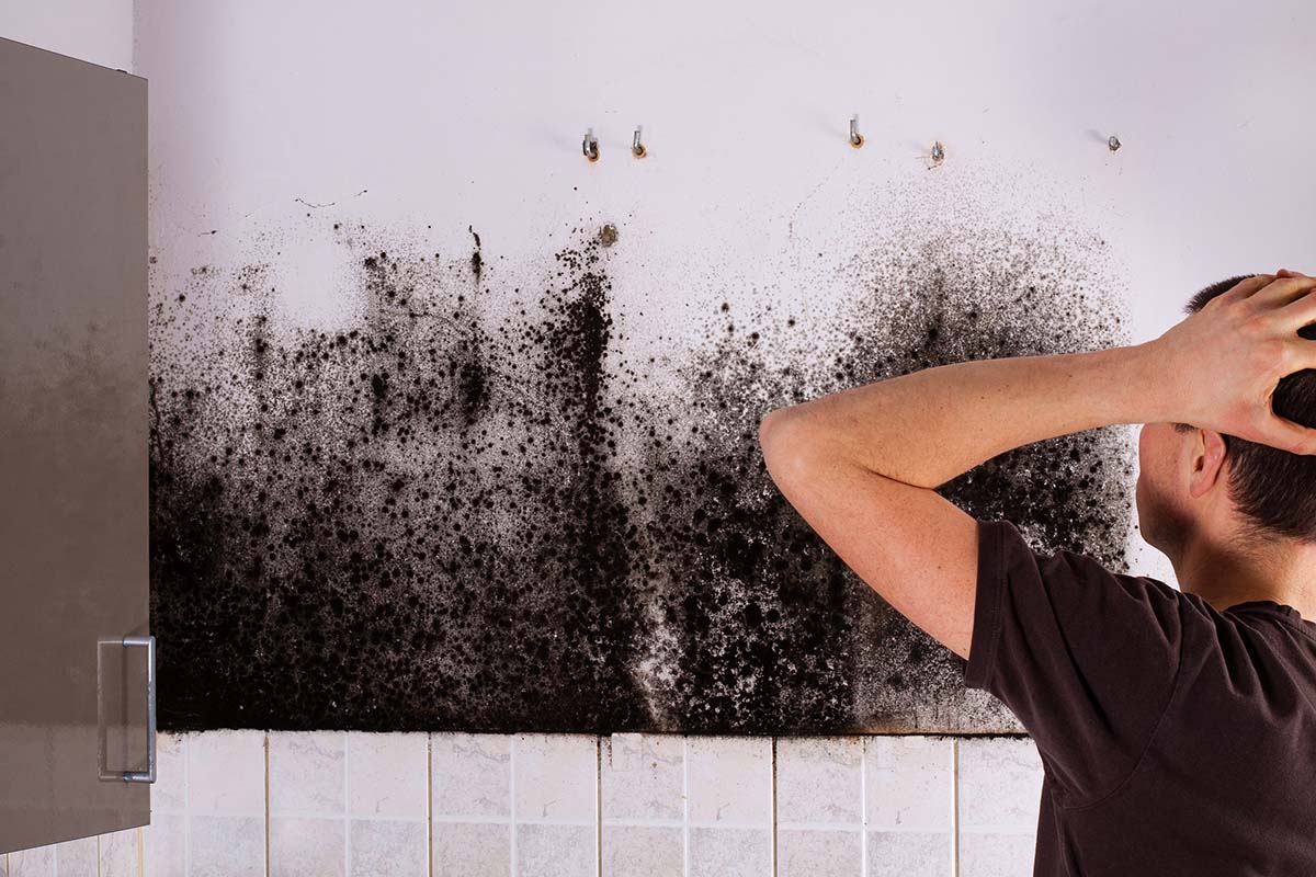 Concerned about the Mold Remediation Process?